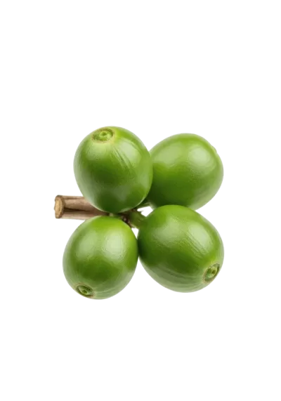 Imagen PNG para descargar